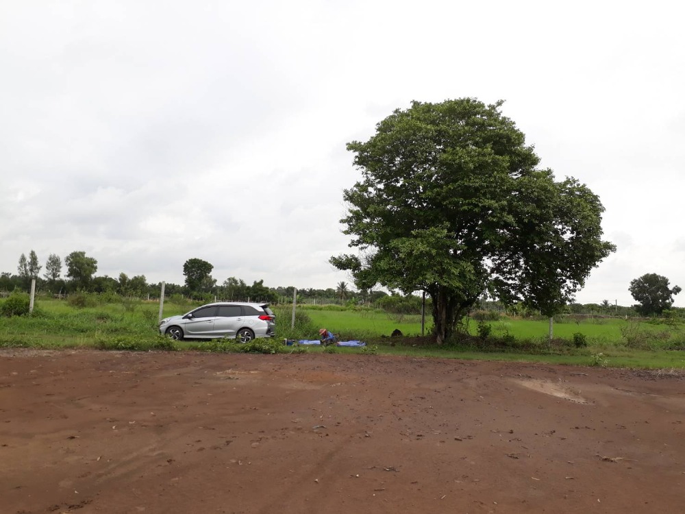 For SaleLandPathum Thani,Rangsit, Thammasat : Land for sale, 5 rai, Deed Krut Daeng (Nor Sor 4 Jor), Nopparat, Nong Suea, Rangsit Klong 13, just 45 km. from Future Rangsit, less than an hours drive.