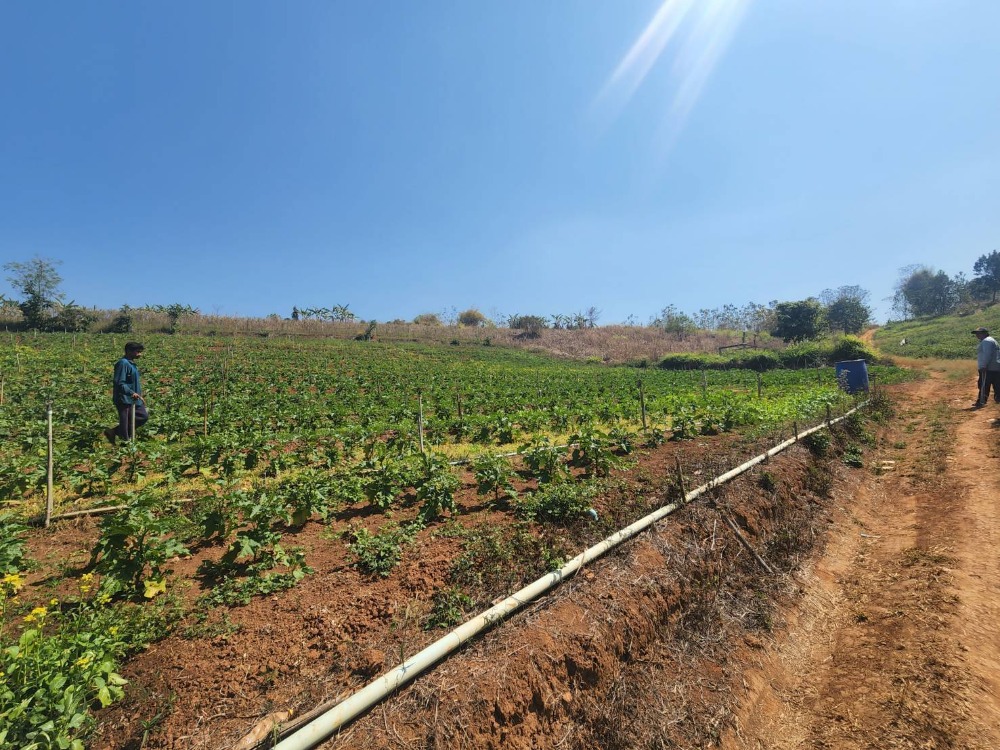 ขายที่ดินเชียงใหม่ : (เจ้าของขายเองไม่รับนายหน้า) ขายที่ดินวิวเขาสวย มีเพื่อนบ้าน อ.สะเมิง จ.เชียงใหม่ ราคาเพียง 420,000 บาท ขนาด 200 ตารางวา โฉนดครุฑเเดง กรรมสิทธิ์ครอบครอง 100% แปลงเล็กแปลงสุดท้ายเเล้ว ติดต่อ 0954935293 ได้ตลอด 24 ชม (จอย เจ้าของ)