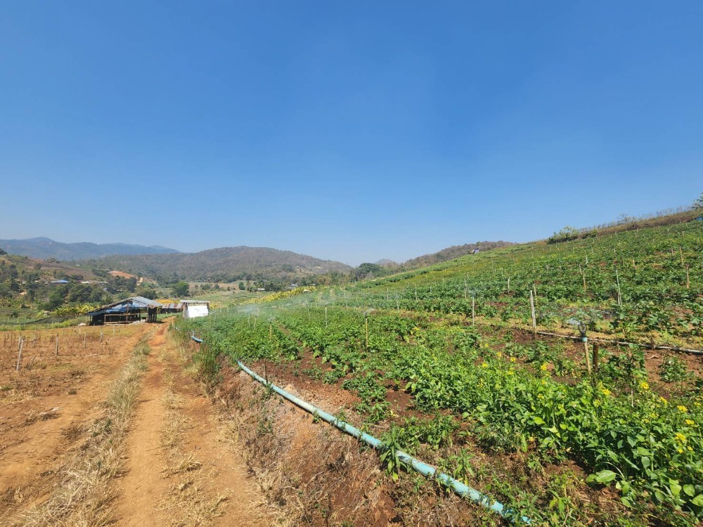 ขายที่ดินเชียงใหม่ : (เจ้าของขายเองไม่รับนายหน้า) ขายที่ดินวิวเขาสวย มีเพื่อนบ้าน อ.สะเมิง จ.เชียงใหม่ ราคาเพียง 420,000 บาท ขนาด 200 ตารางวา โฉนดครุฑเเดง กรรมสิทธิ์ครอบครอง 100% แปลงเล็กแปลงสุดท้ายเเล้ว ติดต่อ 0954935293 ได้ตลอด 24 ชม (จอย เจ้าของ)