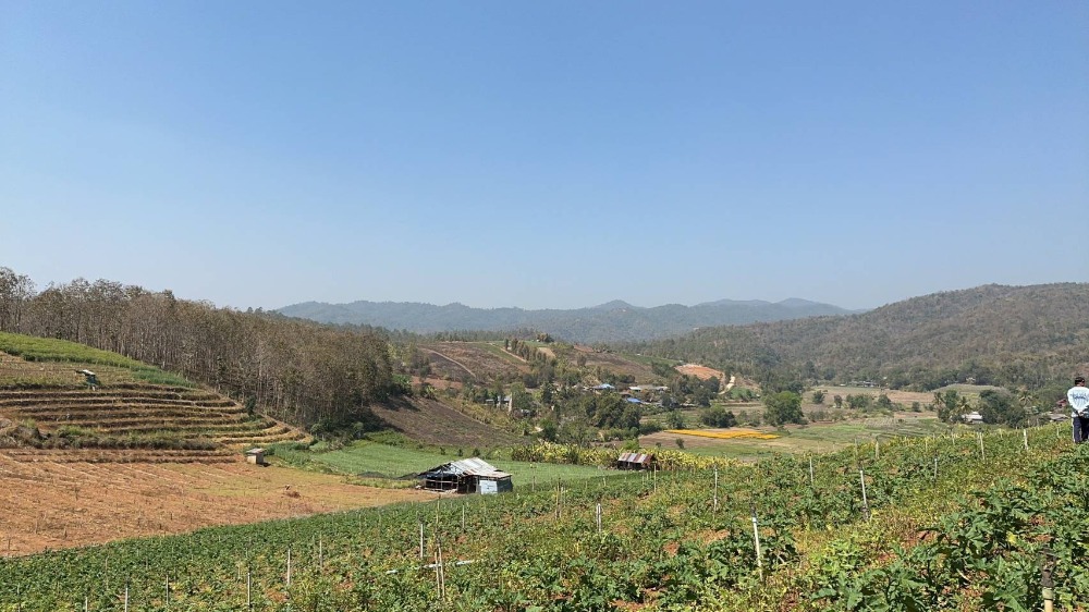 ขายที่ดินเชียงใหม่ : (เจ้าของขายเองไม่รับนายหน้า) ขายที่ดินวิวเขาสวย มีเพื่อนบ้าน อ.สะเมิง จ.เชียงใหม่ ราคาเพียง 420,000 บาท ขนาด 200 ตารางวา โฉนดครุฑเเดง กรรมสิทธิ์ครอบครอง 100% แปลงเล็กแปลงสุดท้ายเเล้ว ติดต่อ 0954935293 ได้ตลอด 24 ชม (จอย เจ้าของ)