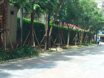 ให้เช่าคอนโดโชคชัย4 ลาดพร้าว71 : คอนโด ลุมพีนี วิลล์ ลาดพร้าว โชคชัยสี่ ห้องสวย พร้อมอยู่ ให้เช่า