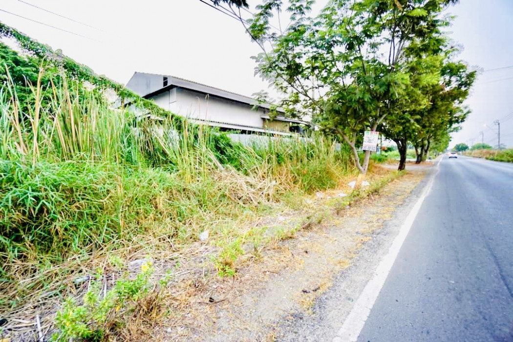 ขายโรงงานลาดกระบัง สุวรรณภูมิ : ขาย โกดัง ถนนร่วมพัฒนา พื้นที่ใช้สอย 500 ตรม. 2 งาน 69 ตร.วา ทำเลเยี่ยมติดถนนใหญ่ เหมาะทำโกดัง โรงงาน เฟอร์นิเจอร์