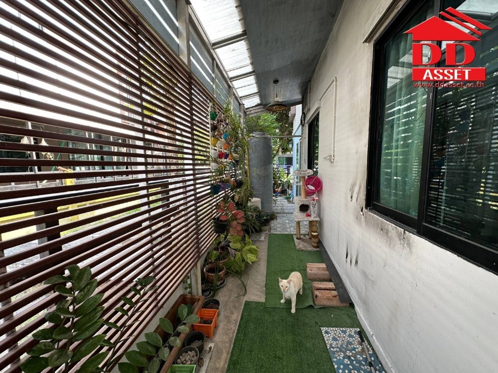 ขายทาวน์โฮมปทุมธานี รังสิต ธรรมศาสตร์ : ขายทาวน์เฮาส์ 2 ชั้น หลังมุม บ้านฟ้าปิยรมย์​ เทอเร่ ลำลูกกา (Bannfah Piyarom Terre)​ ถนนลำลูกกา คลอง6 ปทุมธานี