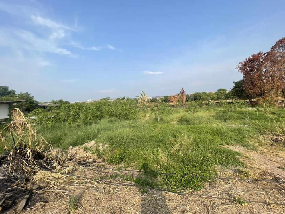 For SaleLandPathum Thani,Rangsit, Thammasat : 💥Land for sale in Ban Chang, Pathum Thani 💥1 rai 1 ngan 23 square wah. 🔥Price is only 6 million baht. lower than appraisal price