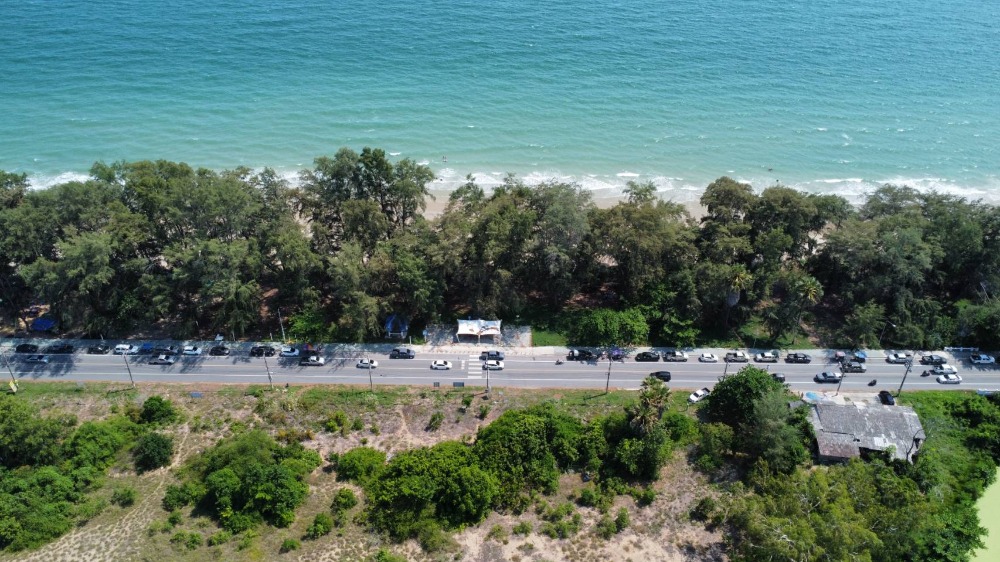 For SaleLandRayong : Land by the Sea for Sale Mae Lumpung Mueng Beach, Rayong, Thailand