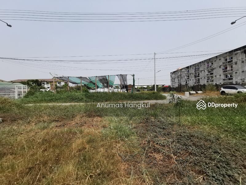 For SaleLandLadkrabang, Suwannaphum Airport : Land in the Suvarnabhumi Zone in the economic area of ​​Lat Krabang District, Bangkok.