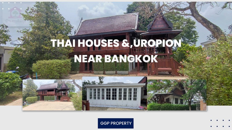 For SaleHouseNakhon Nayok : House for sale, 3 European style houses & Thai houses, area 226 square wah, can park 8 cars in the house Depart from Bangkok1.3 Watch, near the Royal Military Academy, near the tourist attraction of Nakhon Nayok, Muang District, Nakhon Nayok Provi