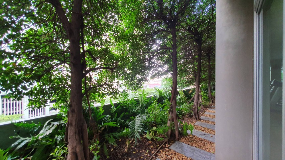 ให้เช่าคอนโดปิ่นเกล้า จรัญสนิทวงศ์ : ติดจองแล้ว!!**รีโนเวทเสร็จแล้ว มีแอร์ 2 เครื่อง + เครื่องซักผ้า ไม่ร้อนและได้รับลม** ให้เช่า ลุมพินี พาร์ค ปิ่นเกล้า เหมาะกับนักศึกษา และคนพึ่งเริ่มทำงาน ทักมานะ