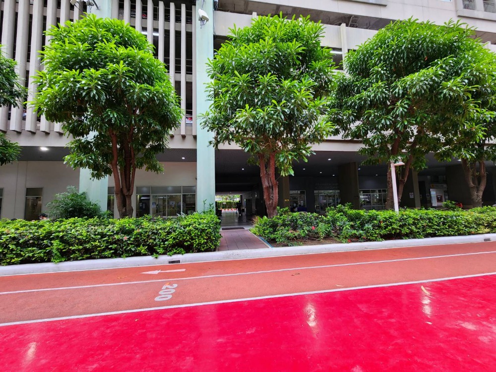 ให้เช่าคอนโดปิ่นเกล้า จรัญสนิทวงศ์ : ติดจองแล้ว!!**รีโนเวทเสร็จแล้ว มีแอร์ 2 เครื่อง + เครื่องซักผ้า ไม่ร้อนและได้รับลม** ให้เช่า ลุมพินี พาร์ค ปิ่นเกล้า เหมาะกับนักศึกษา และคนพึ่งเริ่มทำงาน ทักมานะ