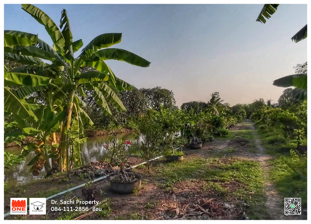 For SaleLandSing Buri : House for sale, fruit garden with land, cheap price, 5-1-67 rai, next to the road, Bang Rachan District, Sing Buri Province.