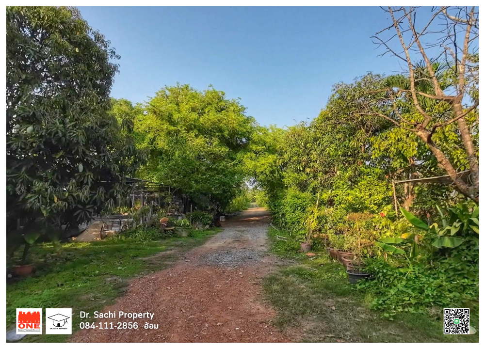 For SaleLandSing Buri : House for sale, fruit garden with land, cheap price, 5-1-67 rai, next to the road, Bang Rachan District, Sing Buri Province.