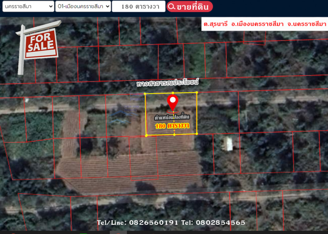 ขายที่ดินโคราช นครราชสีมา : ขาย ที่ดิน สวยใกล้ตัวเมืองโคราช ที่ดินจัดสรร สุรนารี 1 งาน 80 ตร.วา 2แปลงติดกัน