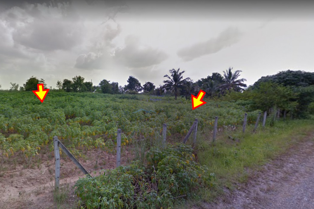 ขายที่ดินโคราช นครราชสีมา : ขาย ที่ดิน สวยใกล้ตัวเมืองโคราช ที่ดินจัดสรร สุรนารี 1 งาน 80 ตร.วา 2แปลงติดกัน