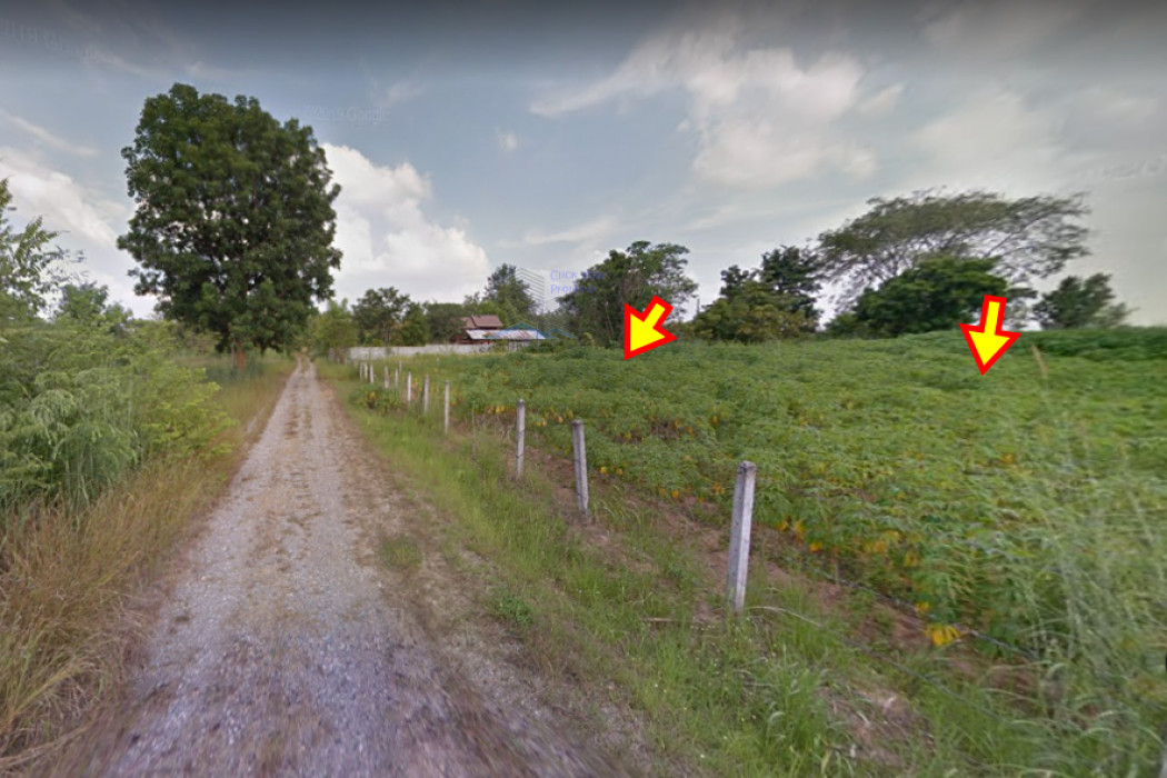 ขายที่ดินโคราช นครราชสีมา : ขาย ที่ดิน สวยใกล้ตัวเมืองโคราช ที่ดินจัดสรร สุรนารี 1 งาน 80 ตร.วา 2แปลงติดกัน