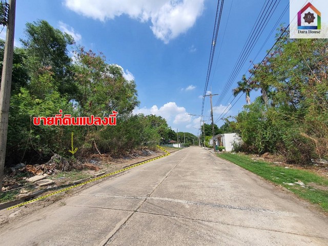 For SaleLandPathum Thani,Rangsit, Thammasat : Land for sale 206 sq m in Nai Ek, Muang Pathum Thani. near Rangsit University