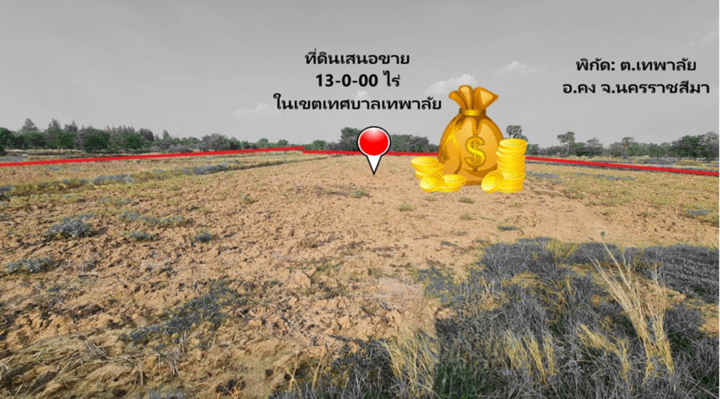 ขายที่ดินปากช่อง เขาใหญ่ : ขาย ที่ดิน ในย่านชุมชนบ้านวัด ต.เทพาลัย อ.คง นครราชสีมา ใกล้พืชสวนโลก ปี 2572 เนื้อที่ 13 ไร่ ผังเมืองสีชมพู