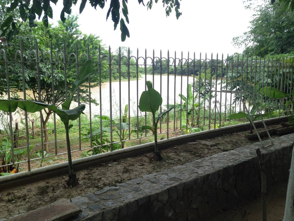 ขายบ้านเชียงใหม่ : ขายถูก !!! ขายบ้านเดี่ยวพร้อมที่ดิน 2 ไร่ 3 ชั้น สไตล์อังกฤษ ติดริมแม่น้ำปิง จอมทอง เชียงใหม่ บนที่ดินท้องมังกร