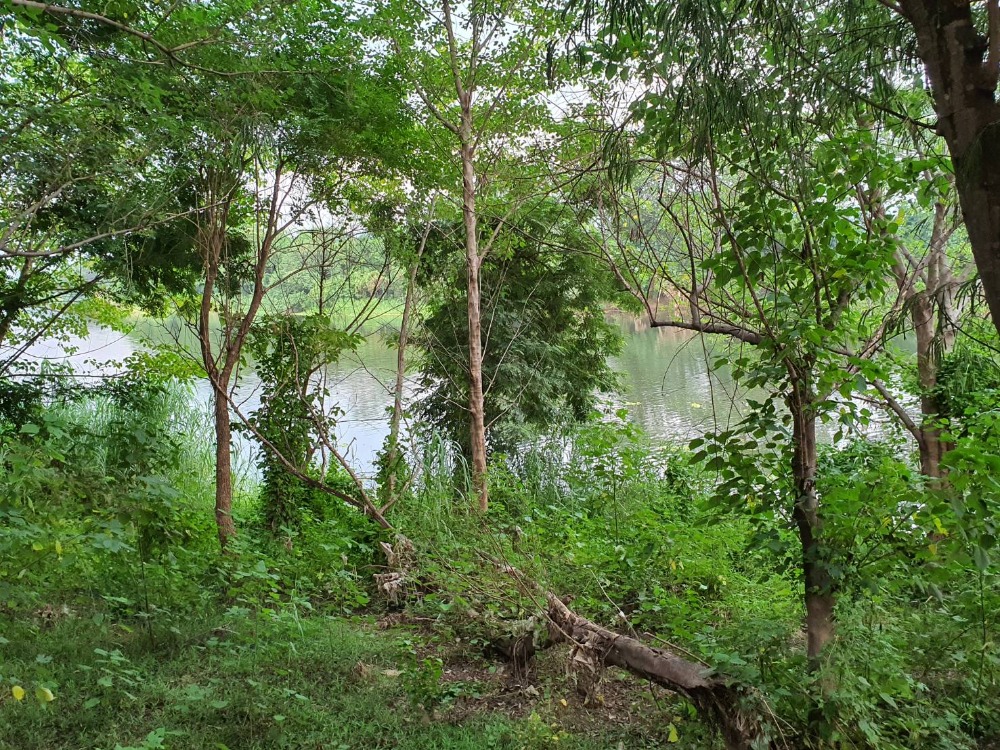 ขายบ้านเชียงใหม่ : ขายถูก !!! ขายบ้านเดี่ยวพร้อมที่ดิน 2 ไร่ 3 ชั้น สไตล์อังกฤษ ติดริมแม่น้ำปิง จอมทอง เชียงใหม่ บนที่ดินท้องมังกร