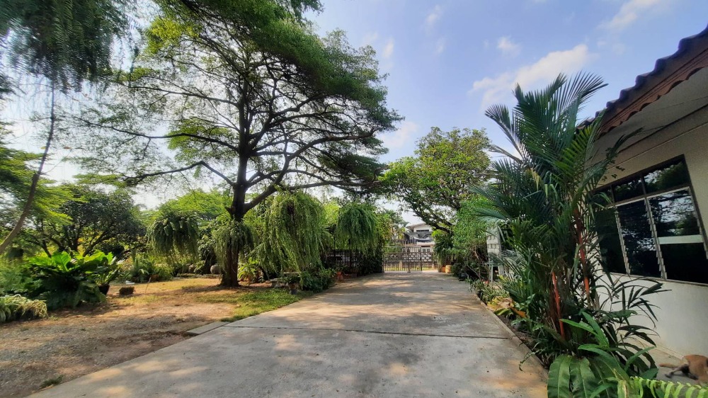 ขายที่ดินพระราม 2 บางขุนเทียน : ขายที่ดิน 2-3-07 ไร่ ที่สวย พระราม2 ซอย47 เข้าซอยเพียง 500 เมตร ใกล้ตลาดสินทวีบางมด