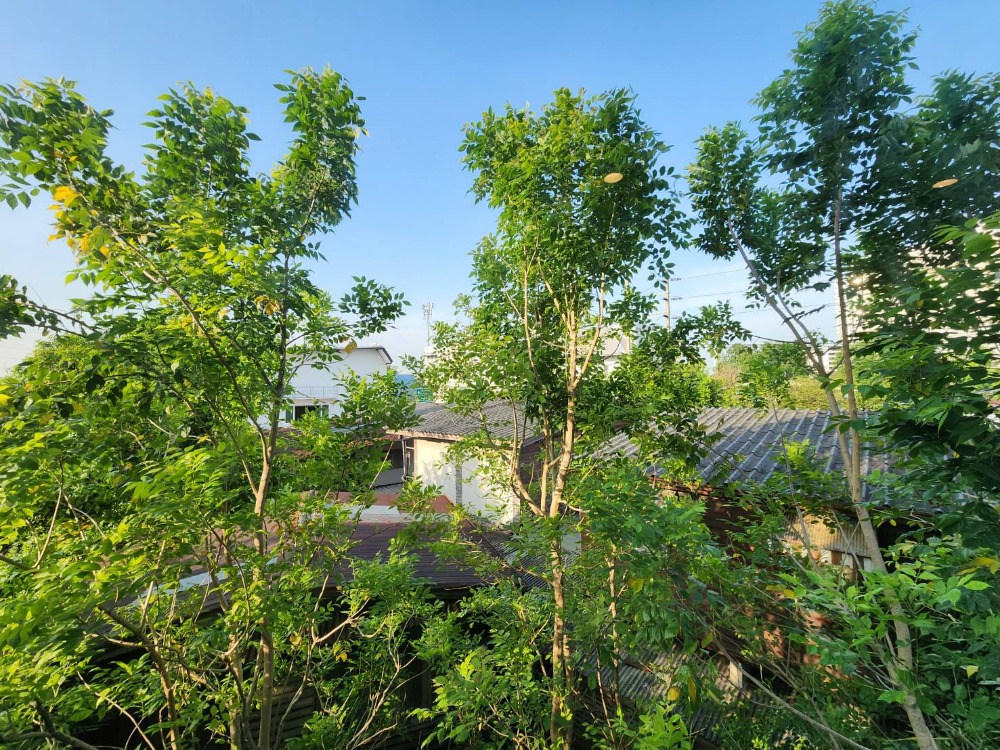 ให้เช่าคอนโดวงเวียนใหญ่ เจริญนคร : **สถานะตามภาพปกครับผมแบบ 2 Bed หายาก มือ 1 จอดรถได้ 2 คัน ** ให้เช่า The Most อิสรภาพ คอนโดใกล้ศิริราชที่สุด ใกล้MRTบางขุนนนท์ !! SN517.5