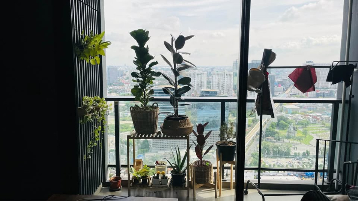For SaleCondoLadprao, Central Ladprao : FOR SALE condo , M Ladprao , BTS-Ha Yaek Lat Phrao , Chomphon , Chatuchak , Bangkok , CX-147089