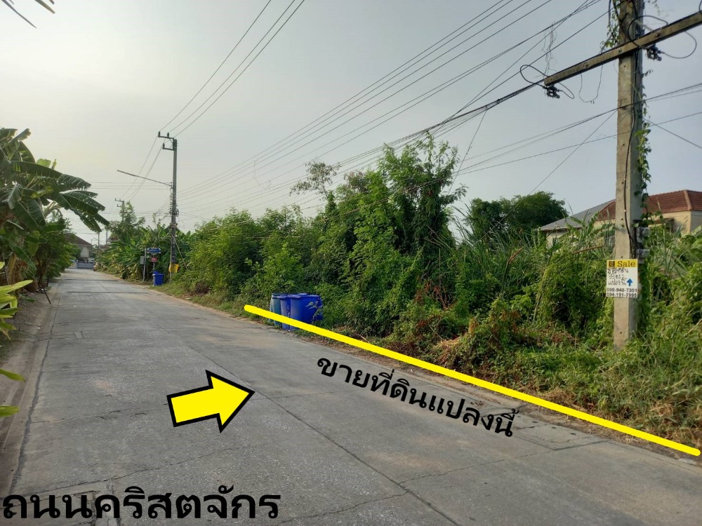 For SaleLandPathum Thani,Rangsit, Thammasat : Land for sale in Soi St. Mark's Church Bangkok-Pathum Thani Road Ref. A01230501