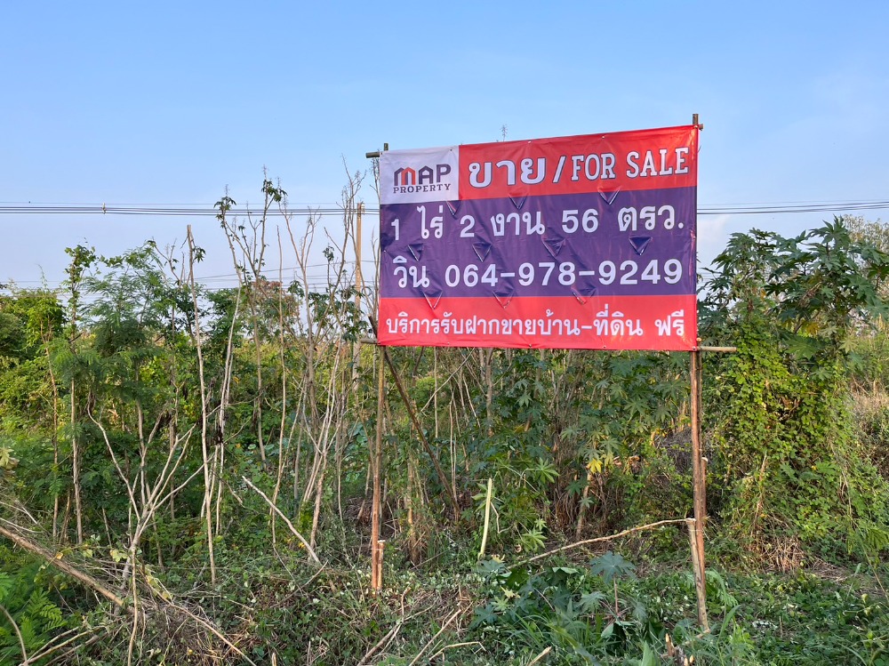 ขายที่ดินโคราช นครราชสีมา : ถนน ทางหลวงแผ่นดินหมายเลข 304 ต.เมืองปัก อ.ปักธงชัย จ.นครราชสีมา,