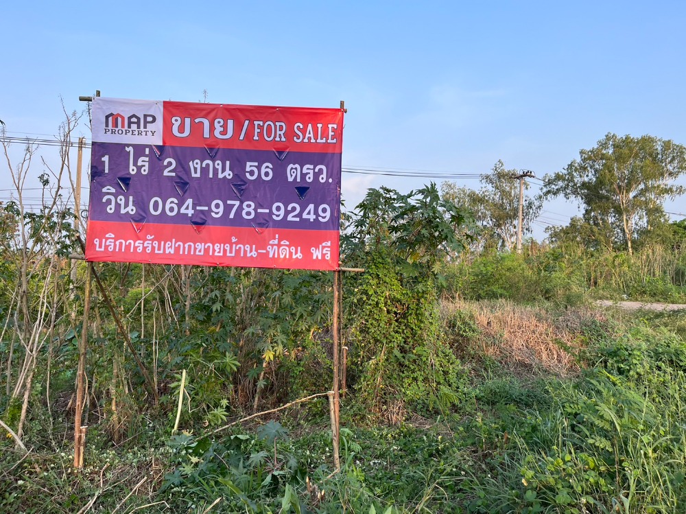 ขายที่ดินโคราช นครราชสีมา : ถนน ทางหลวงแผ่นดินหมายเลข 304 ต.เมืองปัก อ.ปักธงชัย จ.นครราชสีมา,