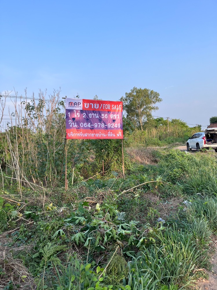 ขายที่ดินโคราช นครราชสีมา : ถนน ทางหลวงแผ่นดินหมายเลข 304 ต.เมืองปัก อ.ปักธงชัย จ.นครราชสีมา,