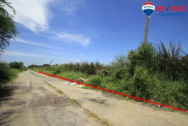 ขายที่ดินปทุมธานี รังสิต ธรรมศาสตร์ : ที่ดินรังสิต นครนายก31 บงกช40 ที่ดินสร้างบ้าน โกดัง 2ไร่ ทำเลดี แวดล้อมเป็นหมู่บ้าน ออฟฟิศ ราคาถูก 8,000บาท/วา