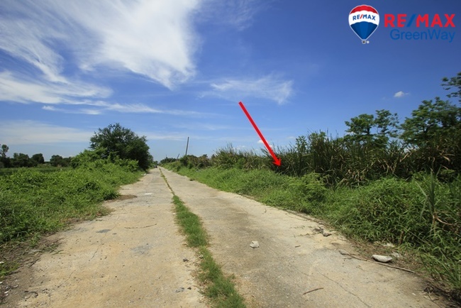 ขายที่ดินปทุมธานี รังสิต ธรรมศาสตร์ : ที่ดินรังสิต นครนายก31 บงกช40 ที่ดินสร้างบ้าน โกดัง 2ไร่ ทำเลดี แวดล้อมเป็นหมู่บ้าน ออฟฟิศ ราคาถูก 8,000บาท/วา