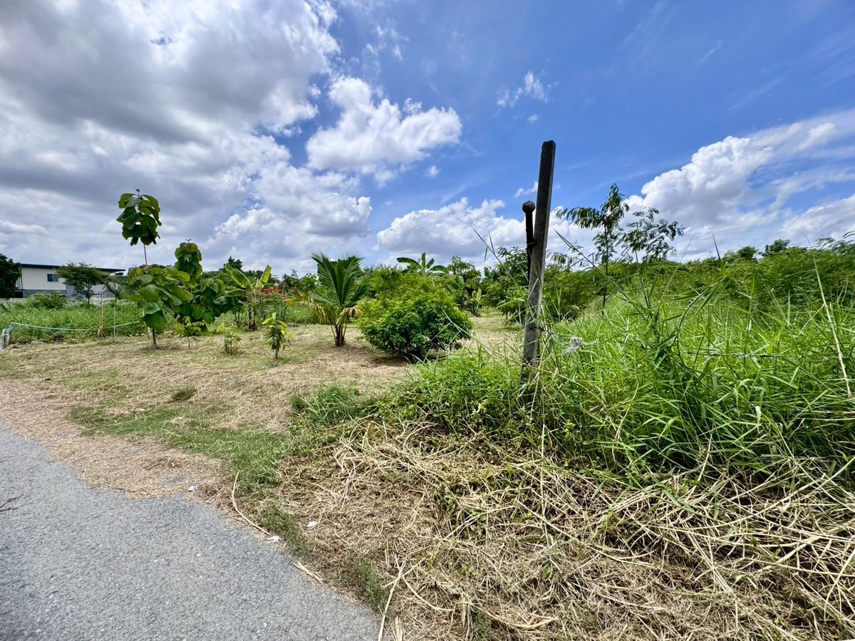 ขายที่ดินพัฒนาการ ศรีนครินทร์ : ขายที่ดินเปล่าแปลงสวย ทำเลพัฒนาการตัดใหม่ เหมาะ..สร้างบ้าน ออฟฟิศ (N.641)