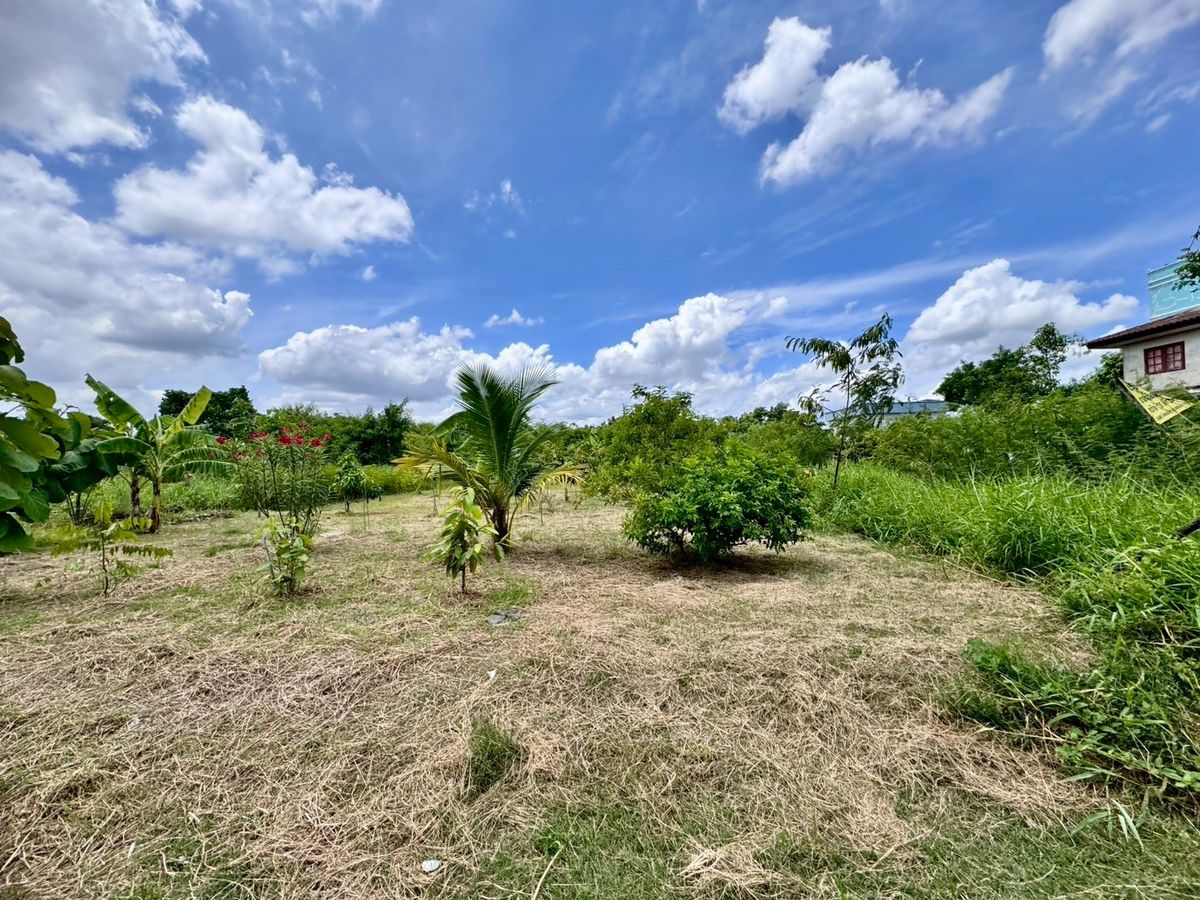 ขายที่ดินพัฒนาการ ศรีนครินทร์ : ขายที่ดินเปล่าแปลงสวย ทำเลพัฒนาการตัดใหม่ เหมาะ..สร้างบ้าน ออฟฟิศ (N.641)