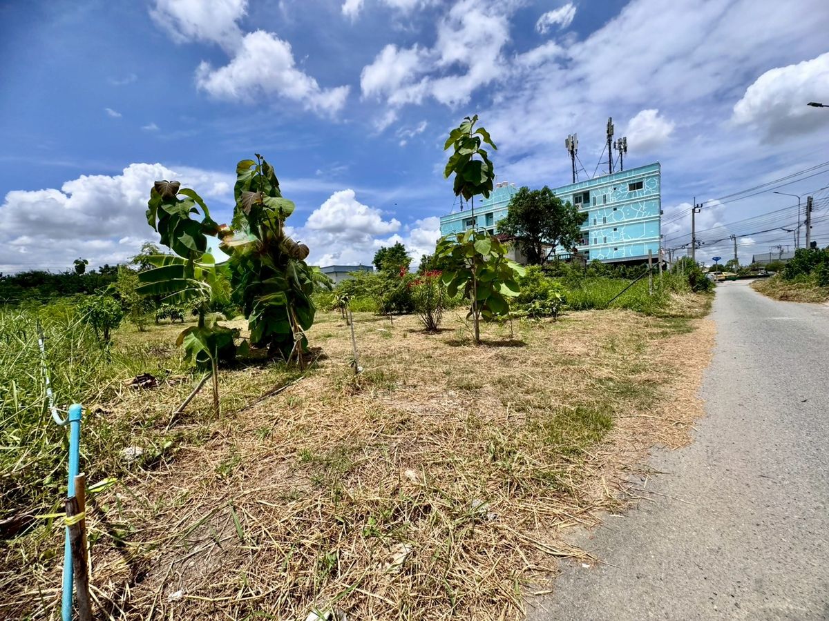 ขายที่ดินพัฒนาการ ศรีนครินทร์ : ขายที่ดินเปล่าแปลงสวย ทำเลพัฒนาการตัดใหม่ เหมาะ..สร้างบ้าน ออฟฟิศ (N.641)