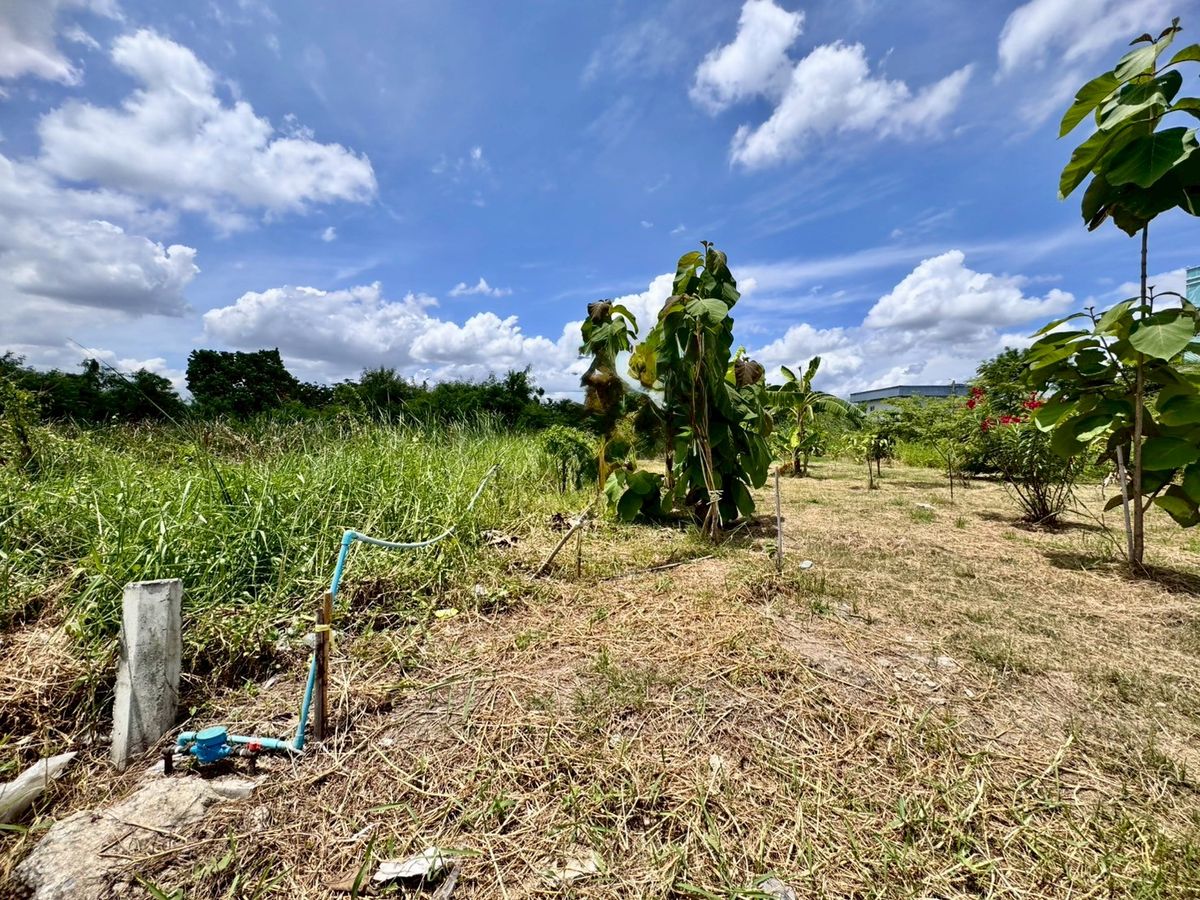 ขายที่ดินพัฒนาการ ศรีนครินทร์ : ขายที่ดินเปล่าแปลงสวย ทำเลพัฒนาการตัดใหม่ เหมาะ..สร้างบ้าน ออฟฟิศ (N.641)