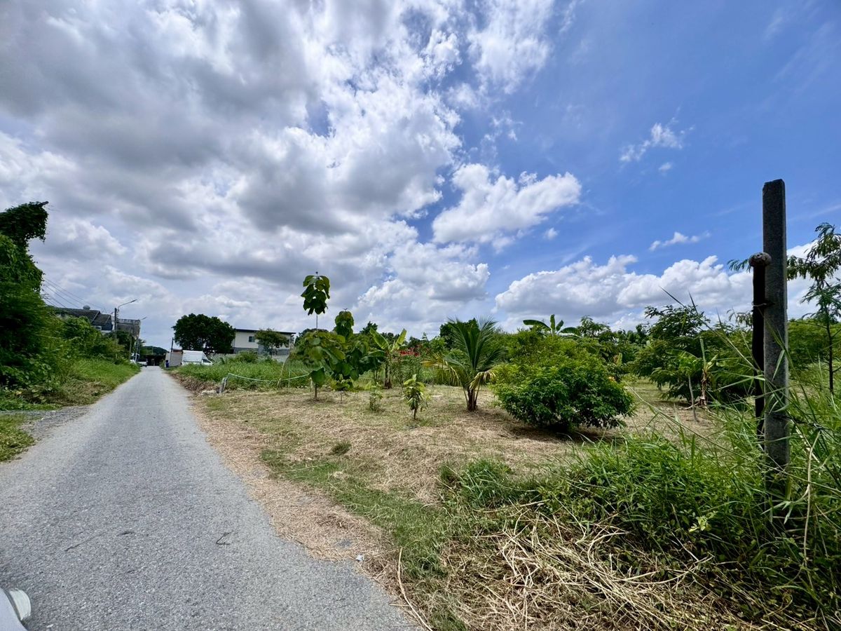 ขายที่ดินพัฒนาการ ศรีนครินทร์ : ขายที่ดินเปล่าแปลงสวย ทำเลพัฒนาการตัดใหม่ เหมาะ..สร้างบ้าน ออฟฟิศ (N.641)