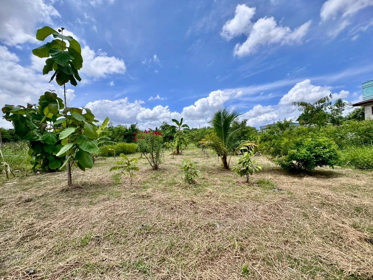 ขายที่ดินพัฒนาการ ศรีนครินทร์ : ขายที่ดินเปล่าแปลงสวย ทำเลพัฒนาการตัดใหม่ เหมาะ..สร้างบ้าน ออฟฟิศ (N.641)