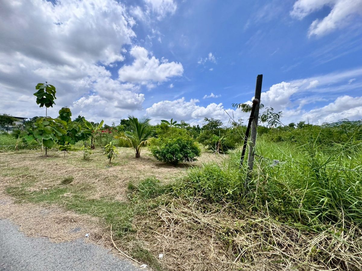 ขายที่ดินพัฒนาการ ศรีนครินทร์ : ขายที่ดินเปล่าแปลงสวย ทำเลพัฒนาการตัดใหม่ เหมาะ..สร้างบ้าน ออฟฟิศ (N.641)