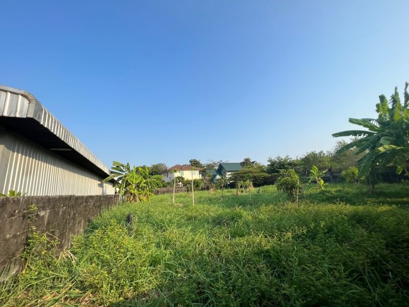 ขายที่ดินพัฒนาการ ศรีนครินทร์ : ขายที่ดินแปลงสวย ถมแล้ว โครงการหมู่บ้านปัญญาพัฒนาการ 30 ใกล้ทองหล่อเอกมัย แปลงมุม อยู่ซอยต้นๆของโครงการ