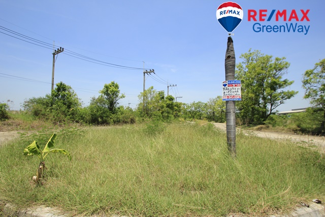 ขายที่ดินนครปฐม : ที่ดินสาย4กระทุ่มล้ม11วัดนครชื่นชุ่ม เสรีเพลส 154วา แปลงมุม ถมแล้ว สร้างบ้าน โกดังเก็บของ ขาย 14,000/วา