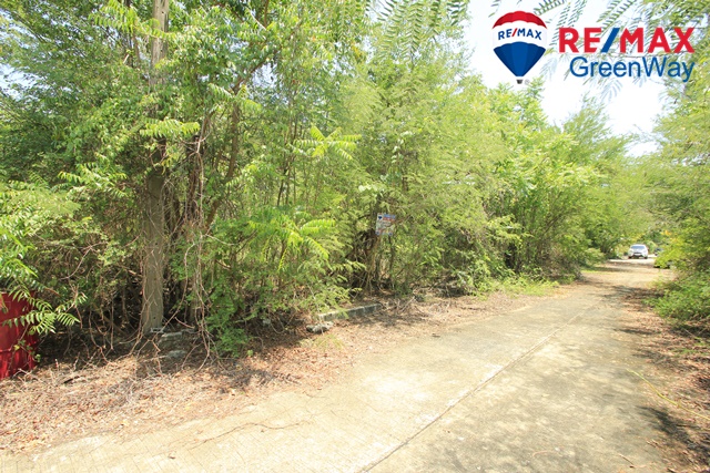 ขายที่ดินนครปฐม : ที่ดินสาย4กระทุ่มล้ม11วัดนครชื่นชุ่ม เสรีเพลส 154วา แปลงมุม ถมแล้ว สร้างบ้าน โกดังเก็บของ ขาย 14,000/วา