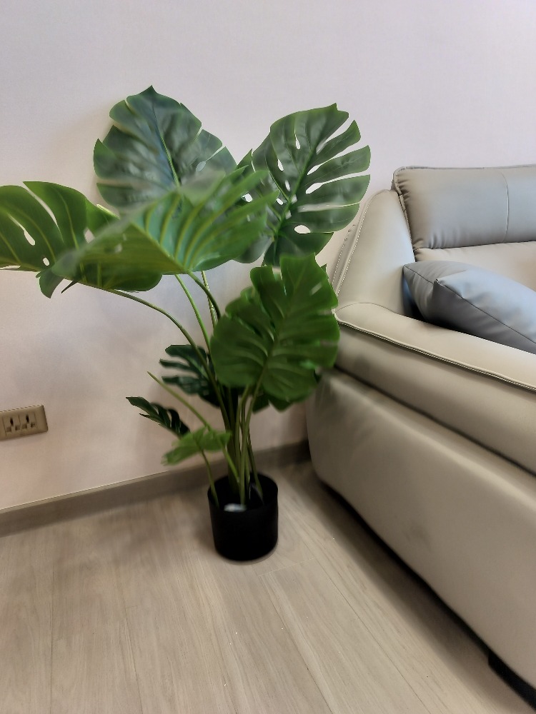 ให้เช่าคอนโดพระราม 9 เพชรบุรีตัดใหม่ RCA : Condo one9five  for rent