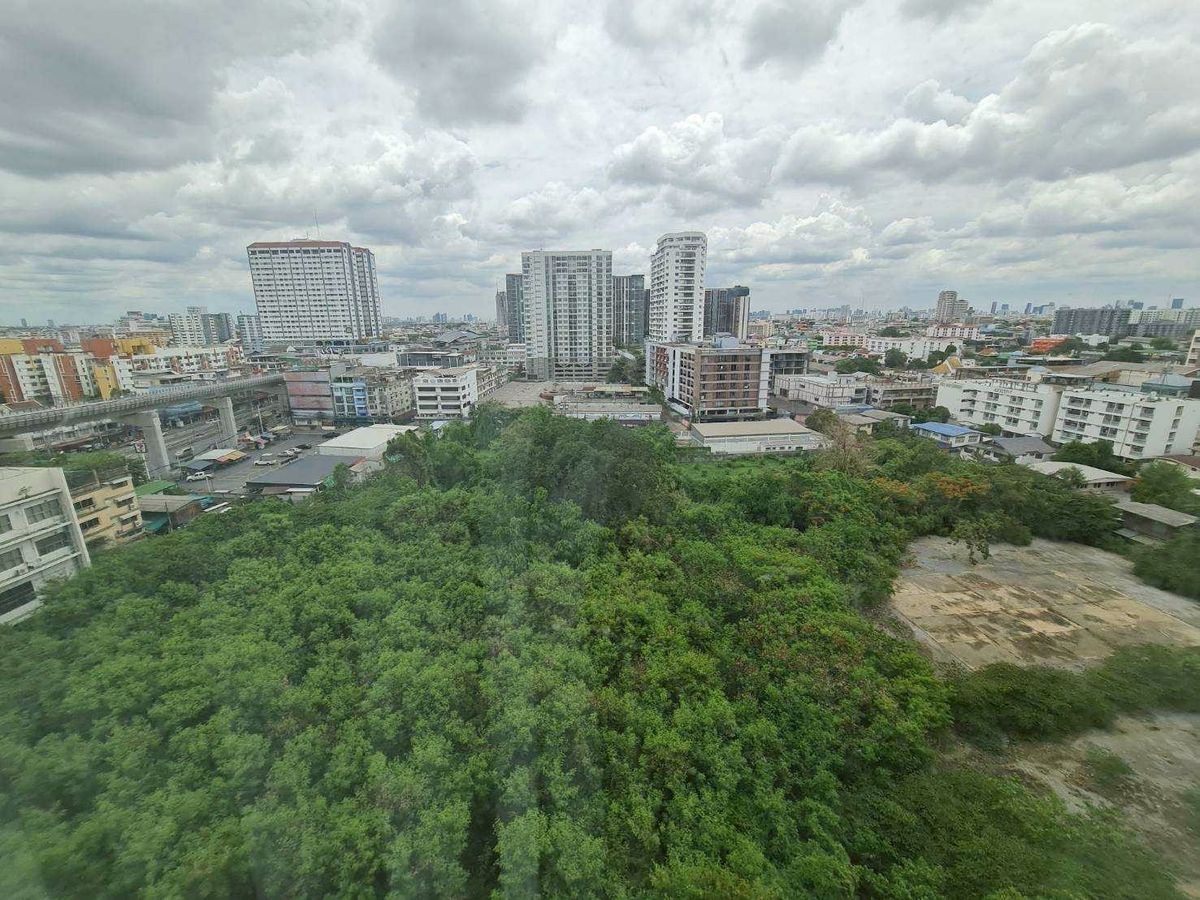 ขายคอนโดปิ่นเกล้า จรัญสนิทวงศ์ : 🔥ห้องใหม่🔥ขาย ลุมพินี สวีท ปิ่นเกล้า🔥