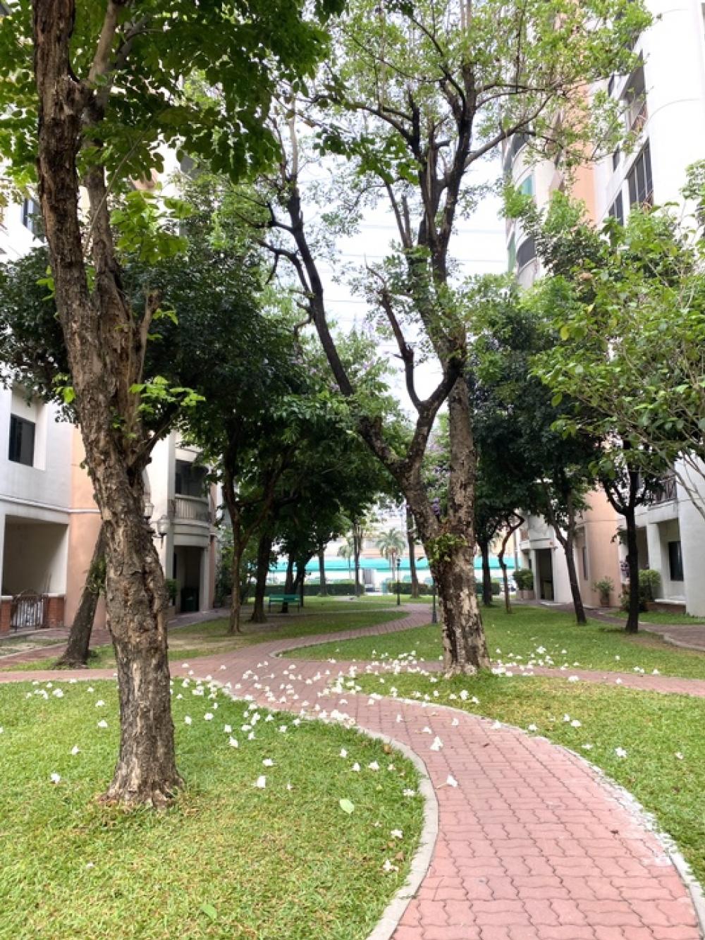 ให้เช่าคอนโดปทุมธานี รังสิต ธรรมศาสตร์ : ให้เช่า คอนโด นนทรีพาร์ควิวล์ ลำลูกกา แบบ 2 ห้องนอน 60 ตรม ตกแต่งสวยงาม บรรยากาศรีสอร์ท ติดถนนลำลูกกา เฟอร์นิเจอร์และเครื่องไฟฟ้าครบ พร้อมเข้าอยู่