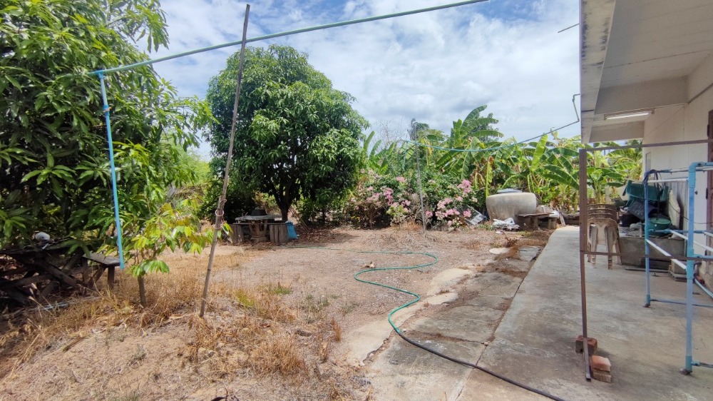 ขายที่ดินชัยนาท : ขาย ที่ดิน 198 ตร.วา พร้อมอาคารพักอาศัย 2.5 ชั้น ต.นางลือ ชัยนาท