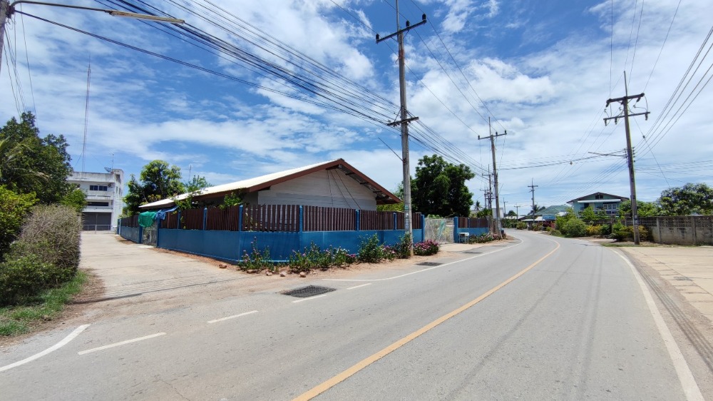 ขายที่ดินชัยนาท : ขาย ที่ดิน 198 ตร.วา พร้อมอาคารพักอาศัย 2.5 ชั้น ต.นางลือ ชัยนาท