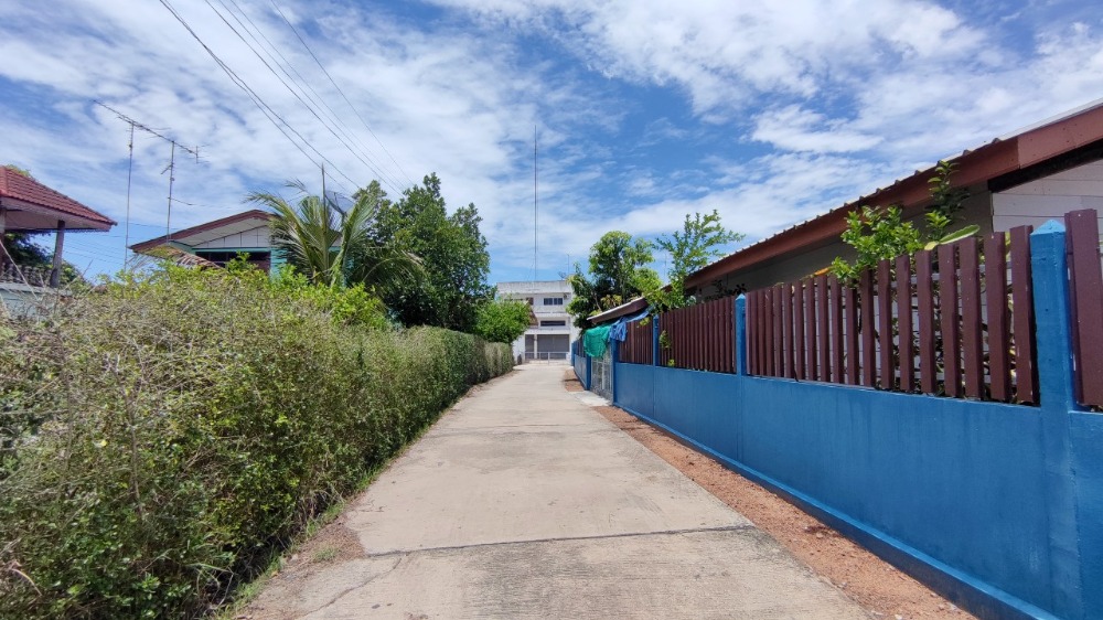 ขายที่ดินชัยนาท : ขาย ที่ดิน 198 ตร.วา พร้อมอาคารพักอาศัย 2.5 ชั้น ต.นางลือ ชัยนาท