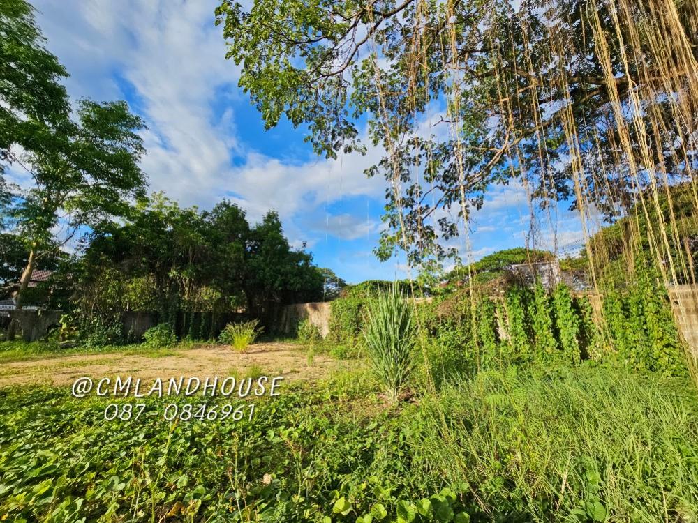 For SaleLandChiang Mai : Land in the heart of Chiang Mai, Wat Ket Subdistrict, near Warorot Market. There are shady trees. Suitable for luxury houses, restaurants, coffee shops, offices, beauty clinics.