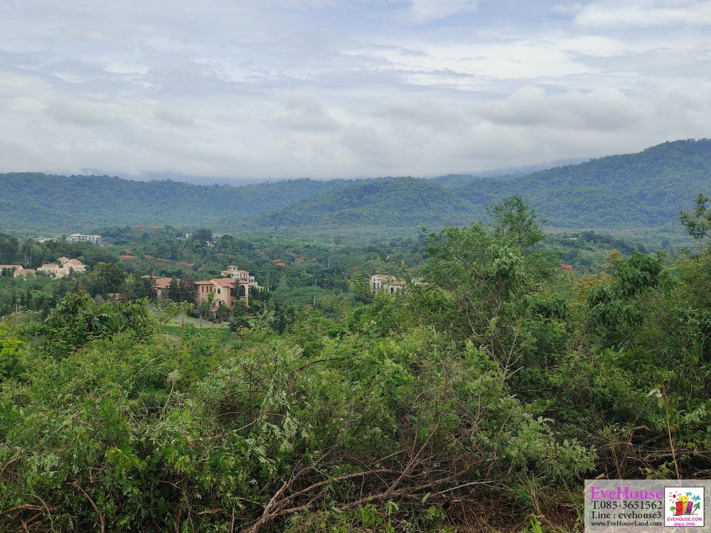 For SaleLandPak Chong KhaoYai : Land For Sale Khao Yai 80 Rai Near Intercon Swan Lake 80 rai , Khao Yai panoramic view, very beautiful 5.2 mil/rai