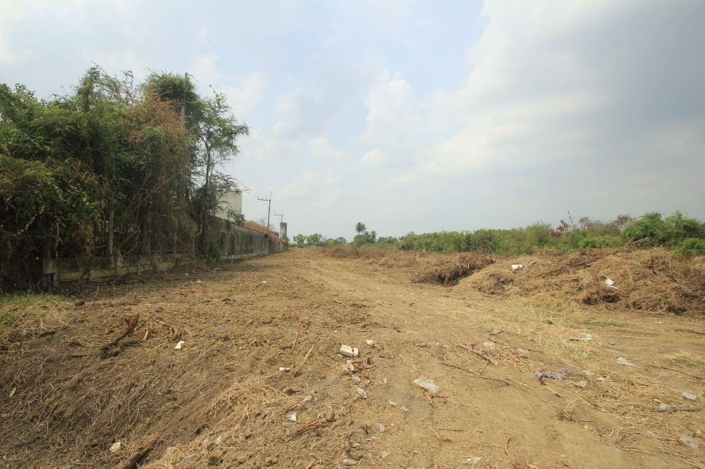 ขายที่ดินพุทธมณฑล ศาลายา : ที่ดินริมถนนมาลัยแมน นครปฐม 7-2-56.7 ไร่ ติดถนนทั้งหน้าหลัง ใกล้ทางด่วนกาญจนบุรี บางใหญ่ มหาวิทยาลัยราชภัฏนครปฐม